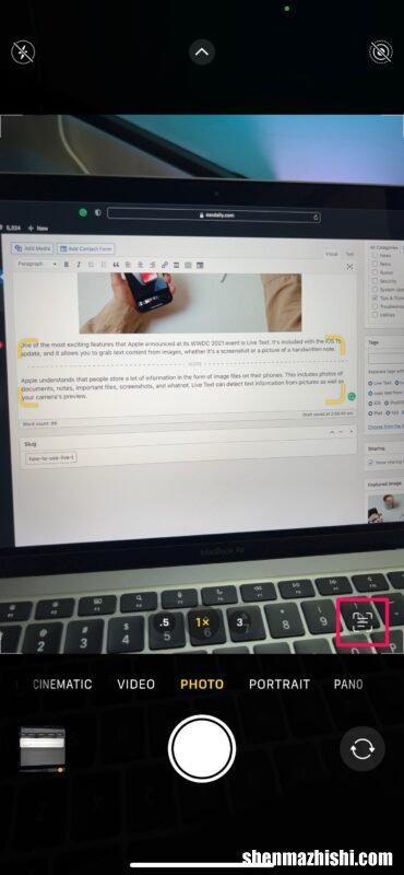 如何在iPhone和iPad上使用带有图像的实时文本