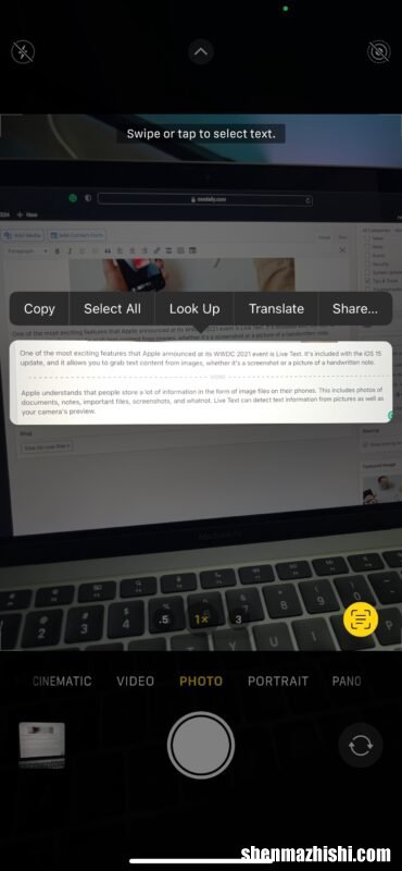 如何在iPhone和iPad上使用带有图像的实时文本