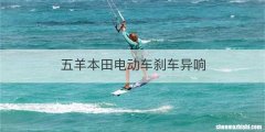 五羊本田电动车刹车异响