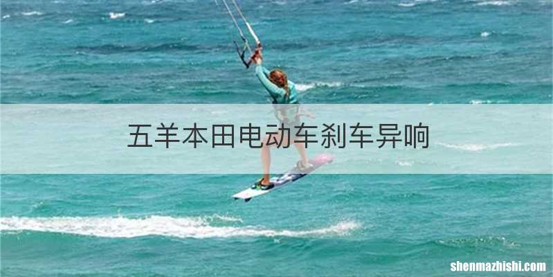 五羊本田电动车刹车异响