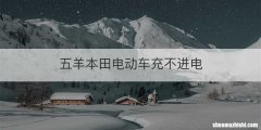 五羊本田电动车充不进电