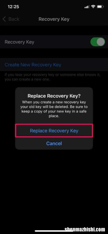 如何用iPhone或iPad替换丢失的Apple ID恢复密钥