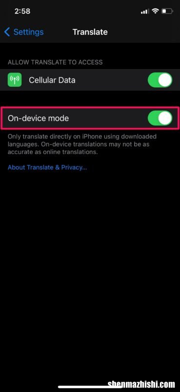 苹果手机自动翻译功能 如何在iPhone启用设备翻译模式