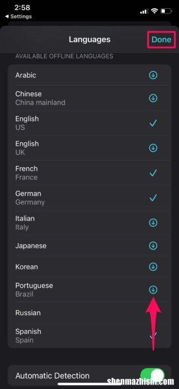 苹果手机自动翻译功能 如何在iPhone启用设备翻译模式