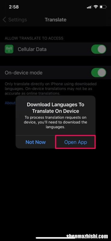 苹果手机自动翻译功能 如何在iPhone启用设备翻译模式