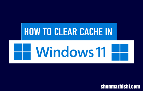 系统垃圾清理教程 如何在Windows11中清除缓存