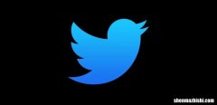 新的Twitter帐户不会获得蓝色的“已验证”复选标记