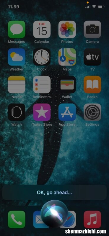 如何从iPhone使用Siri发送音频信息