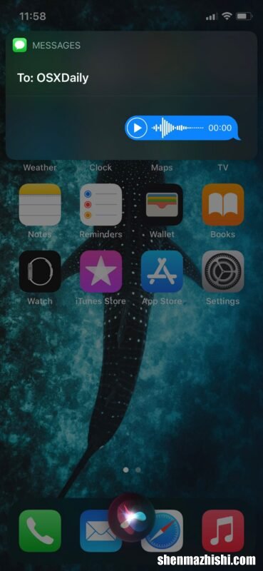如何从iPhone使用Siri发送音频信息