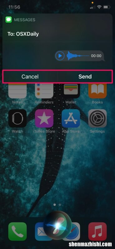 如何从iPhone使用Siri发送音频信息