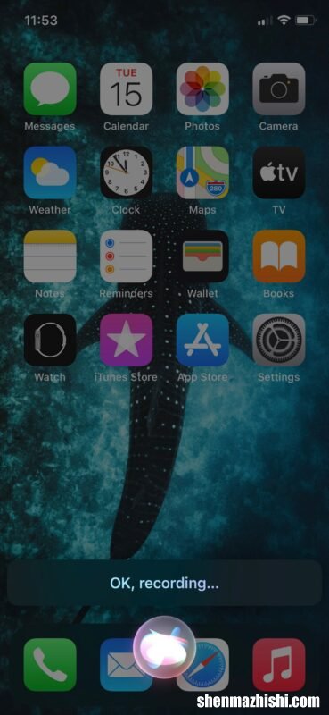 如何从iPhone使用Siri发送音频信息