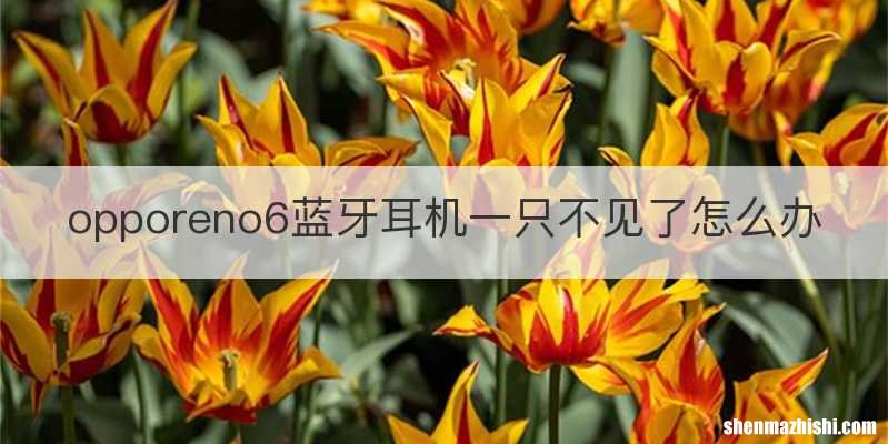 opporeno6蓝牙耳机一只不见了怎么办