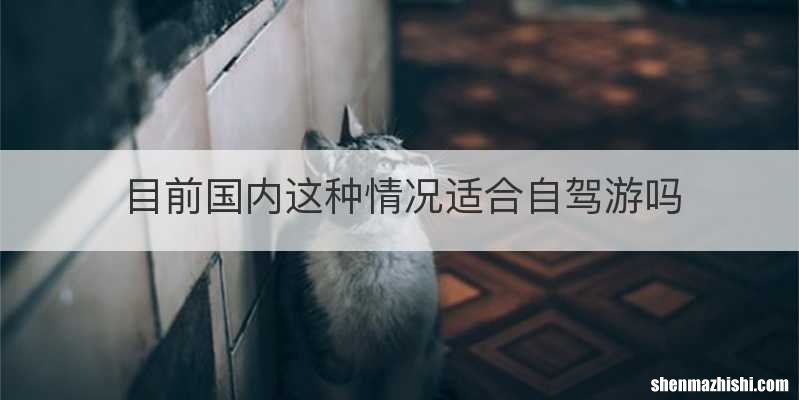 目前国内这种情况适合自驾游吗