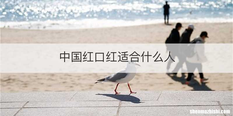 中国红口红适合什么人