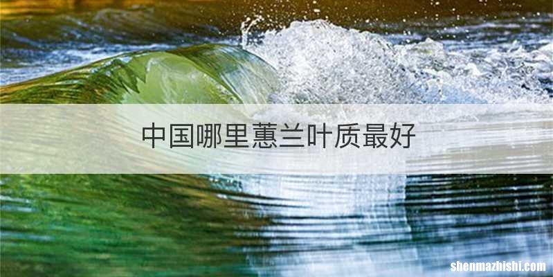 中国哪里蕙兰叶质最好