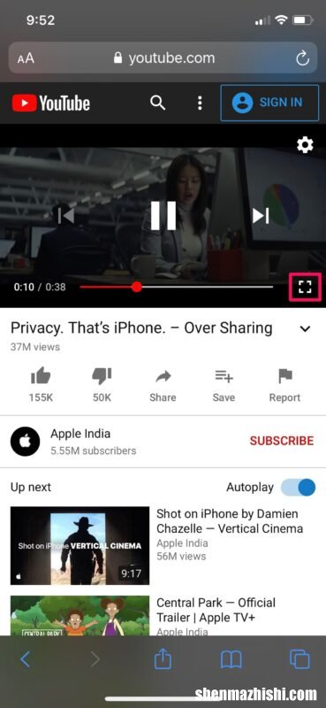 如何在iPhone和iPad上通过YouTube使用画中画