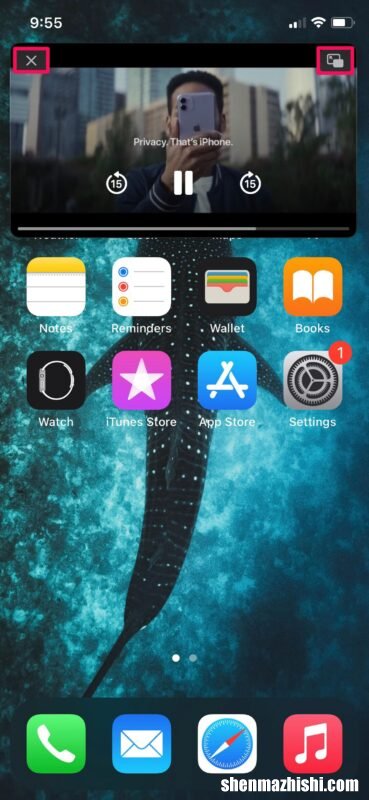 如何在iPhone和iPad上通过YouTube使用画中画