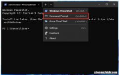CMD7种方法 Windows11如何以管理员身份运行命令
