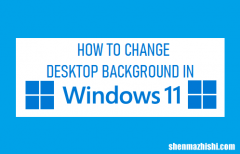 如何在Windows11中更改桌面背景，简单步骤