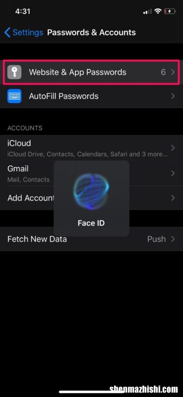 苹果自动填充怎么设置，iPhone和iPad编辑自动填充选项