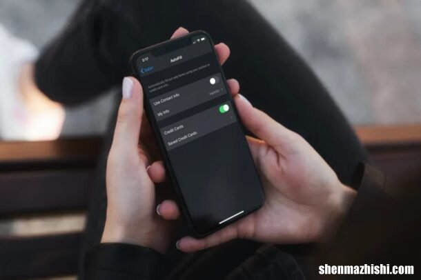 苹果自动填充怎么设置，iPhone和iPad编辑自动填充选项