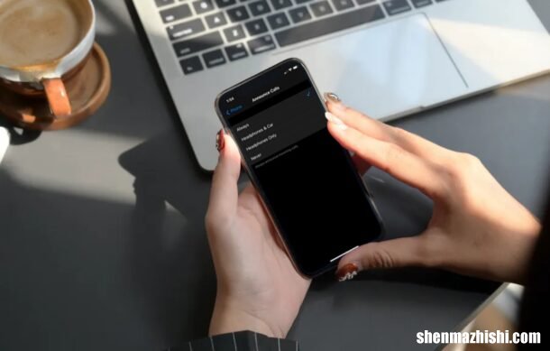 怎么在iPhone通话中设置来电提醒