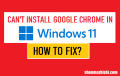 无法在Windows11中安装谷歌Chrome修复方法