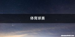体育球赛