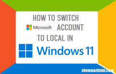 如何在Windows11中将Microsoft帐户切换到本地