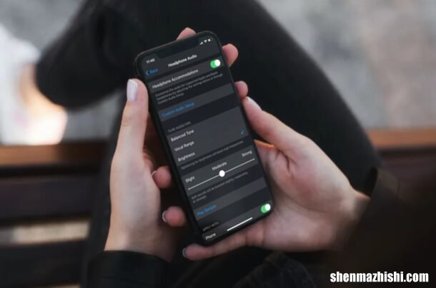 如何在iPhone和iPad上使用耳机调节