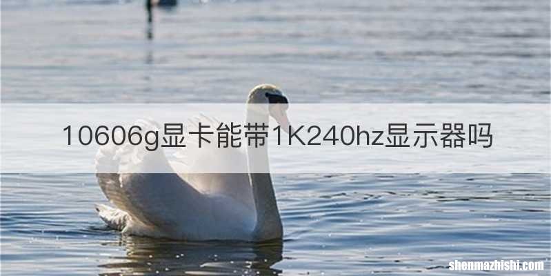 10606g显卡能带1K240hz显示器吗