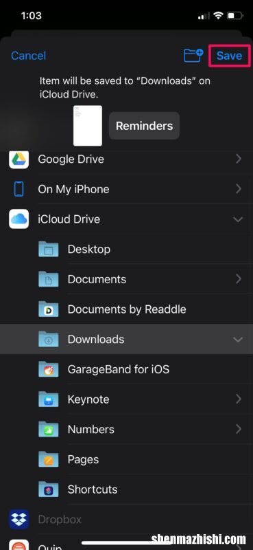 如何在iPhone和iPad上将提醒事项转为PDF格式