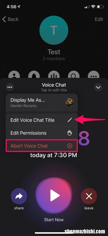 iPhone如何在Telegram上安排语音聊天