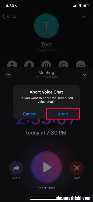 iPhone如何在Telegram上安排语音聊天