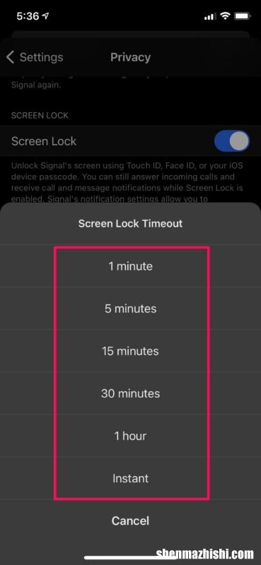 如何在iPhone上使用FaceID或TouchID锁定信号