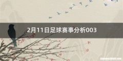 2月11日足球赛事分析003