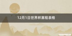 12月1日世界杯赛程表格
