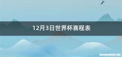 12月3日世界杯赛程表