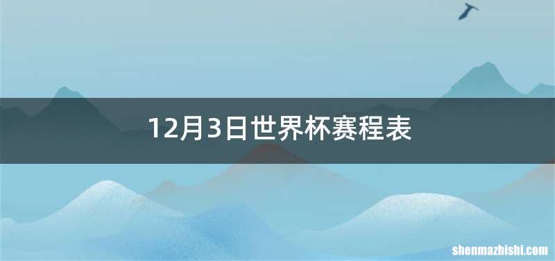 12月3日世界杯赛程表