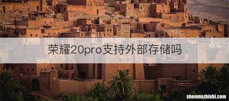 荣耀20pro支持外部存储吗