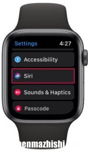 如何在Apple Watch上使用Siri播报消息