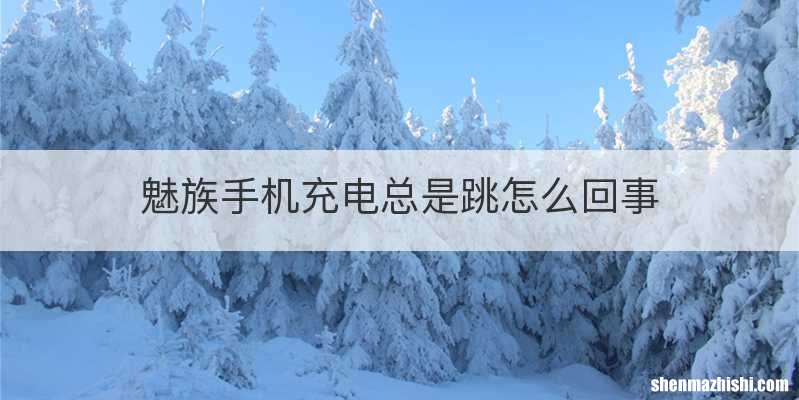 魅族手机充电总是跳怎么回事