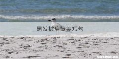 黑发披肩赞美短句
