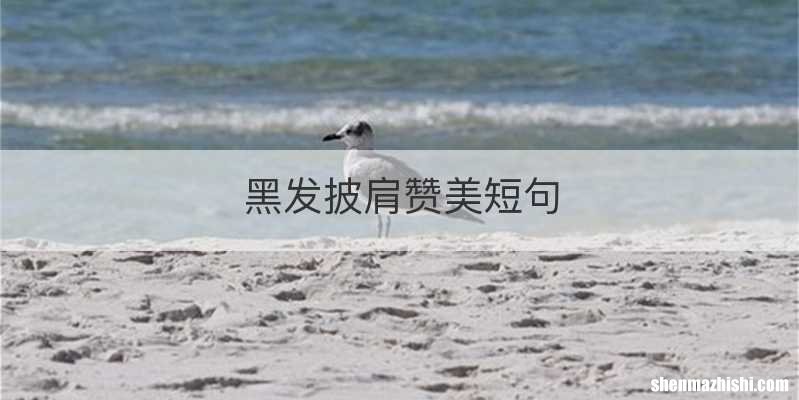 黑发披肩赞美短句