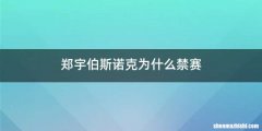 郑宇伯斯诺克为什么禁赛
