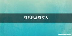 羽毛球场有多大