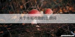 关于水稻收割的主题词