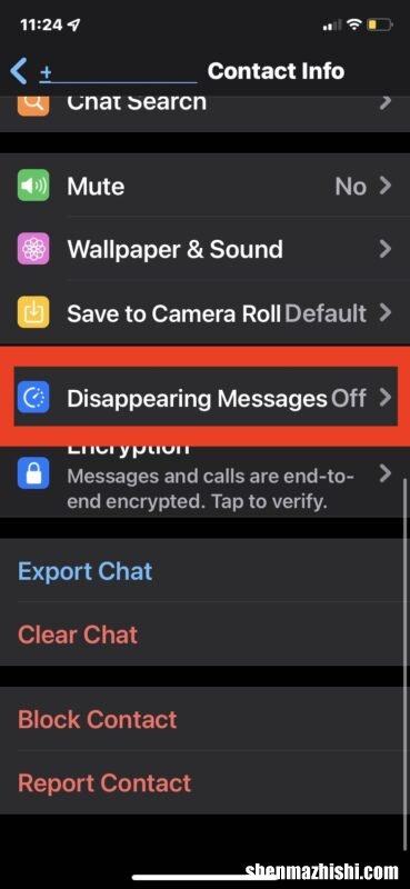 如何在iPhone上的WhatsApp中启用消失的消息
