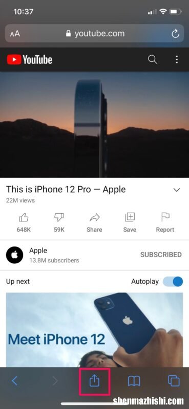 适合iPhone和iPad YouTube在移动设备上使用画中画