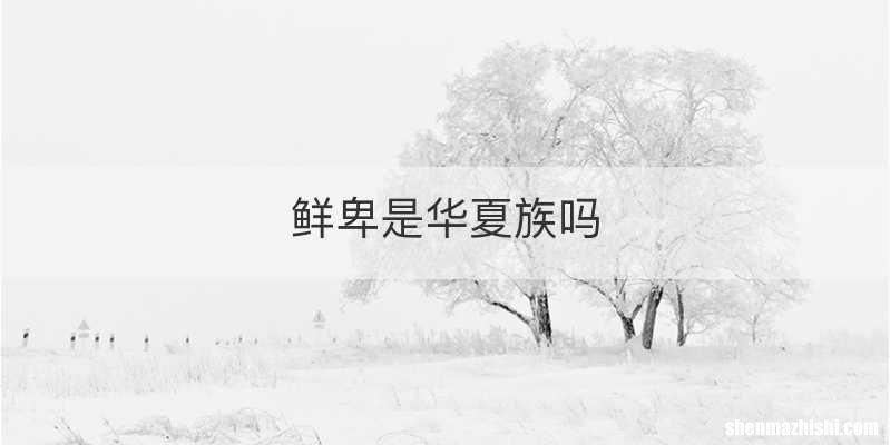 鲜卑是华夏族吗